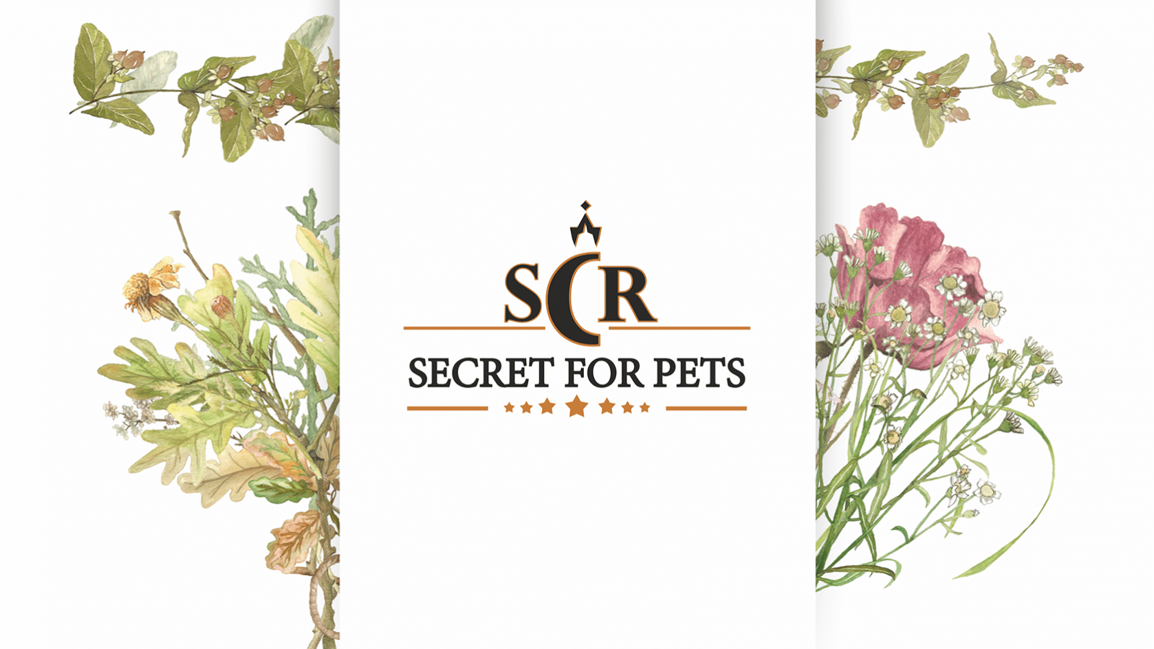 Secret for pets. Secret for Pets корм. Лакомство секрет. Секрет баннер.