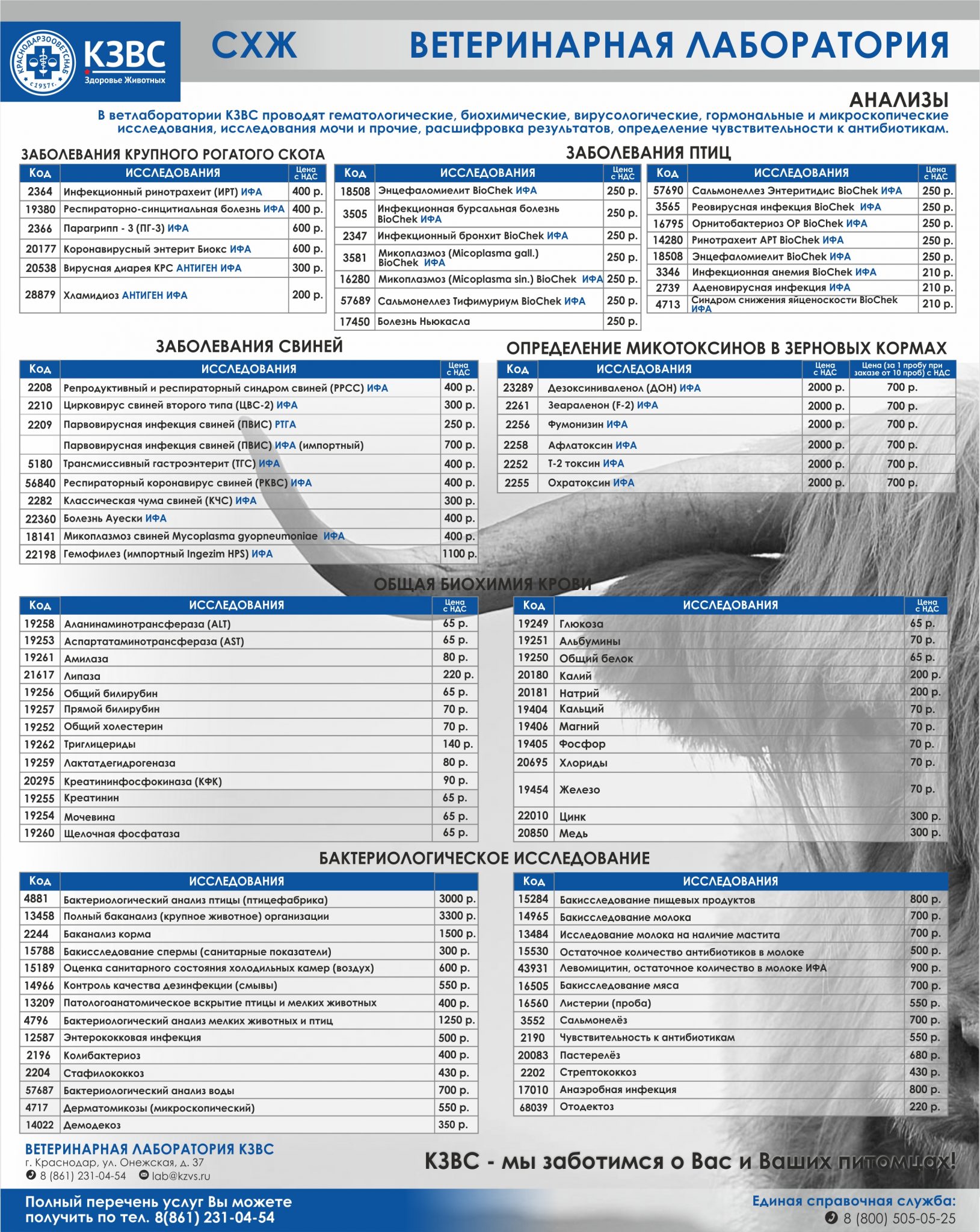Прайсы лабораторий. КЗВС интернет магазин Краснодар. КВЗС Краснодар интернет магазин. КЗВС Майкоп. КЗВС Краснодар адреса и режим работы.
