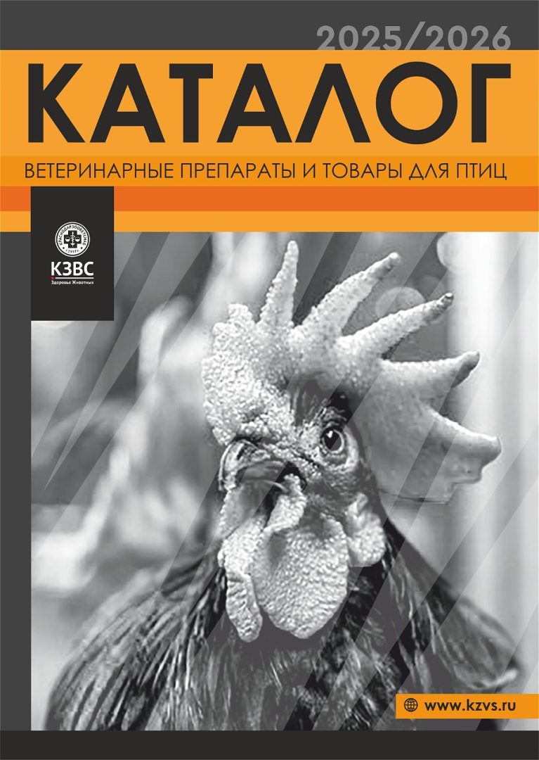 Каталоги