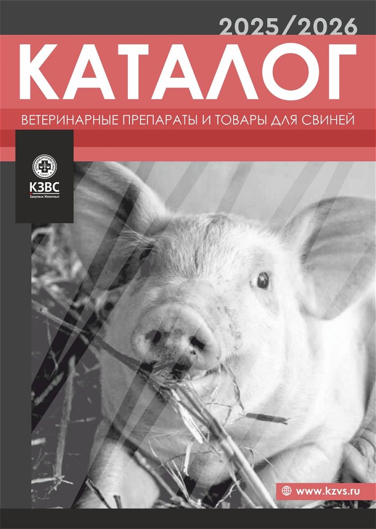 Каталоги