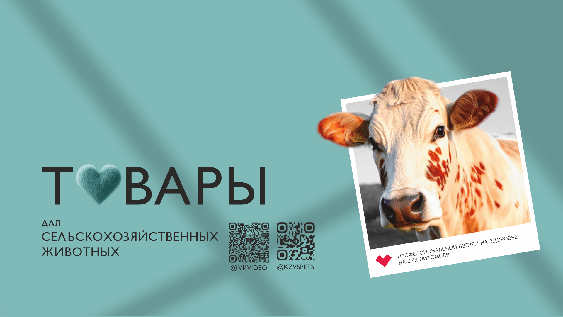 Баннер на сайт кзвс. ру1