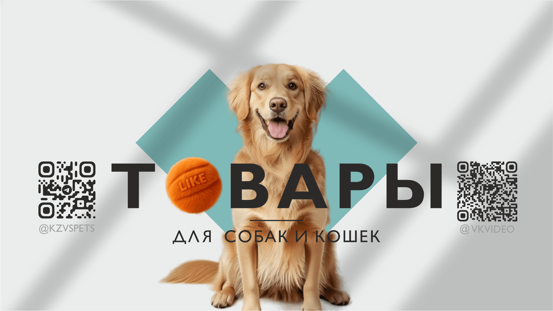 Баннер на сайт кзвс. ру22