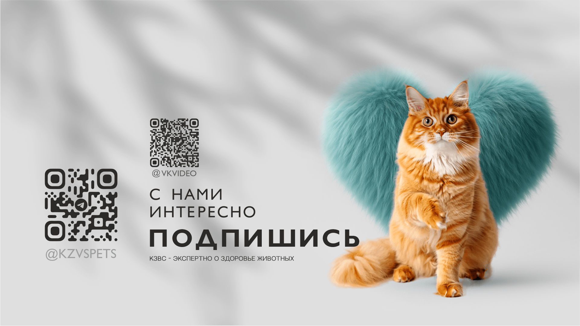 Баннер на сайт кзвс. ру44