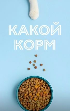 Главная