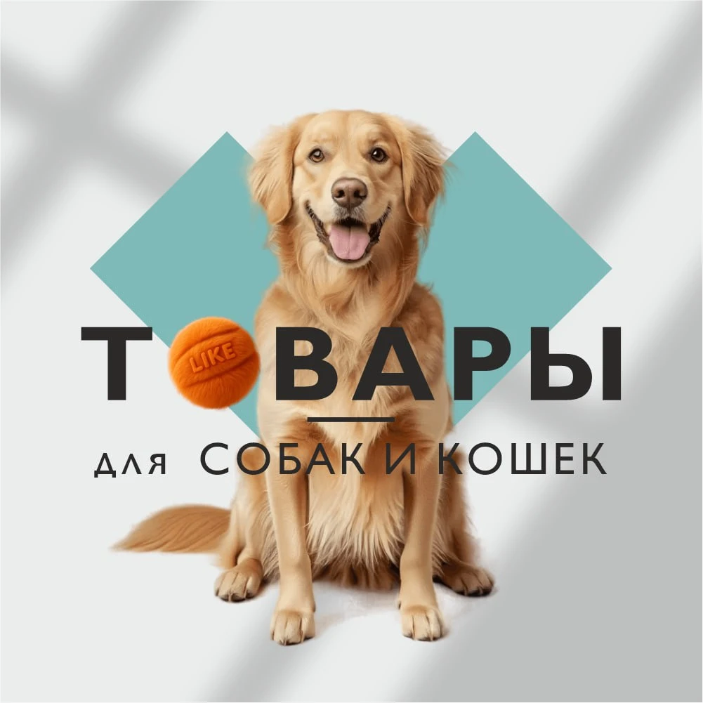 Banner-mobile-kzvs-1