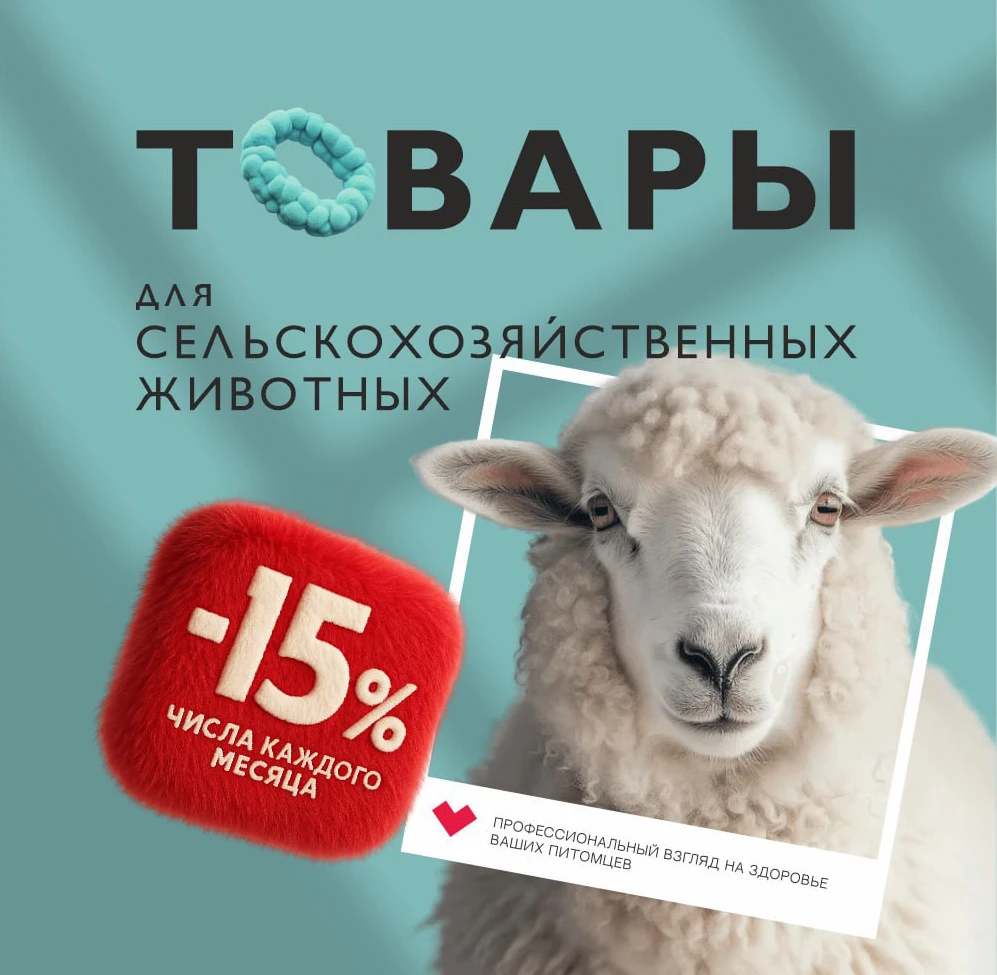 Banner-mobile-kzvs-3