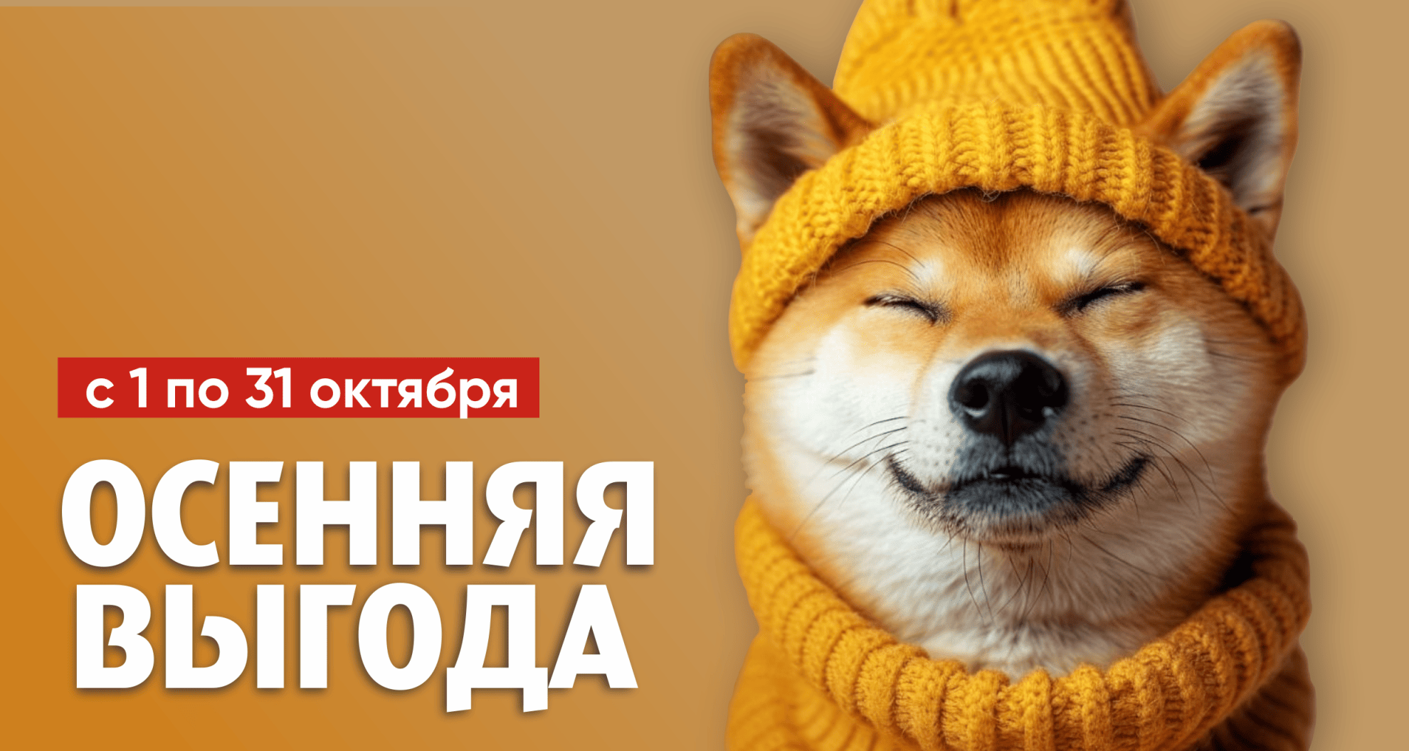 Ветаптеки под брендом КЗВС
